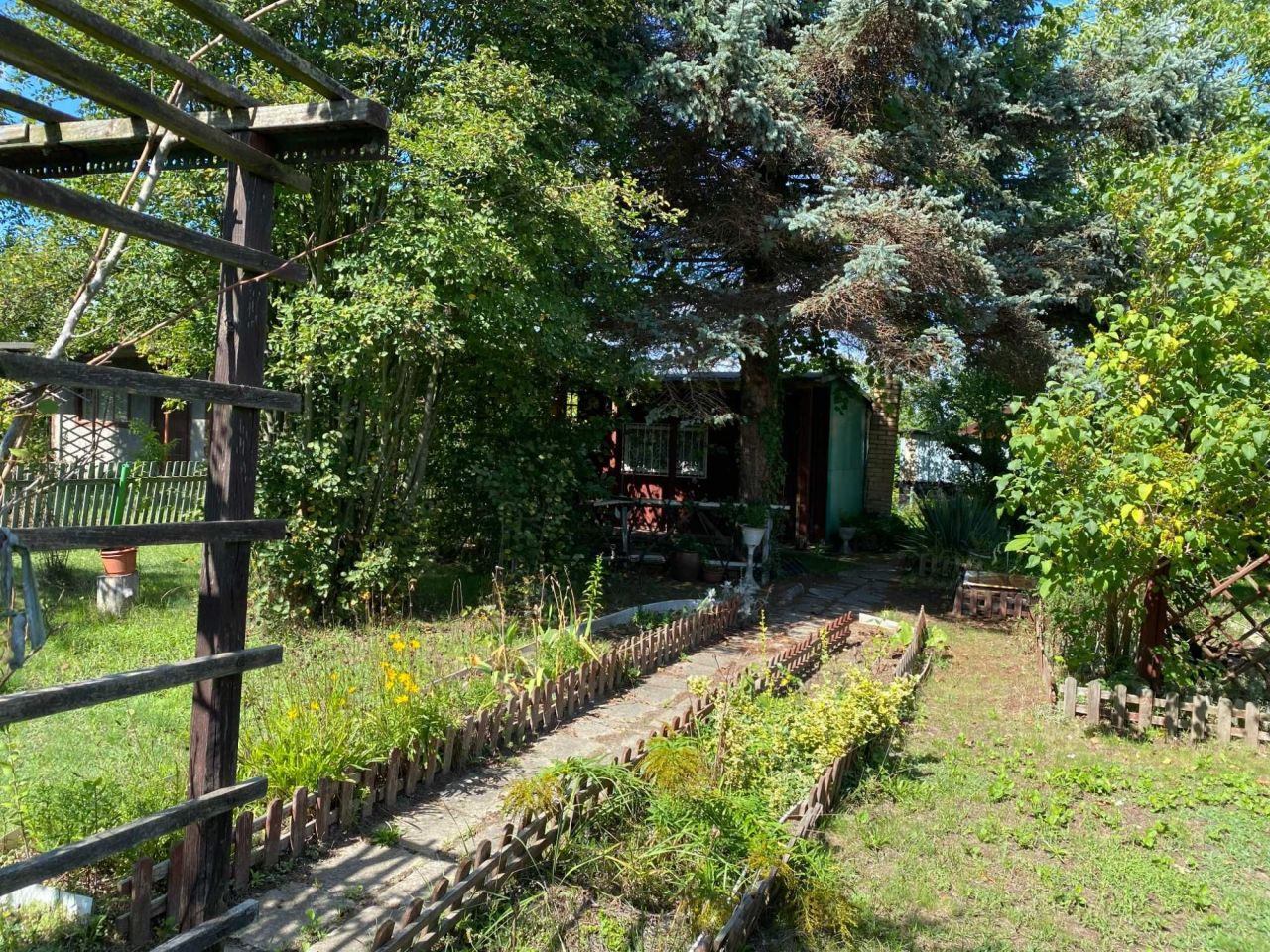 Działka rod Lubin. Zdjęcie 7