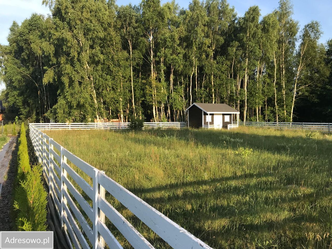 Działka budowlana Żarnowska. Zdjęcie 5