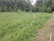 Działka budowlana Kuńkowce. Zdjęcie 4