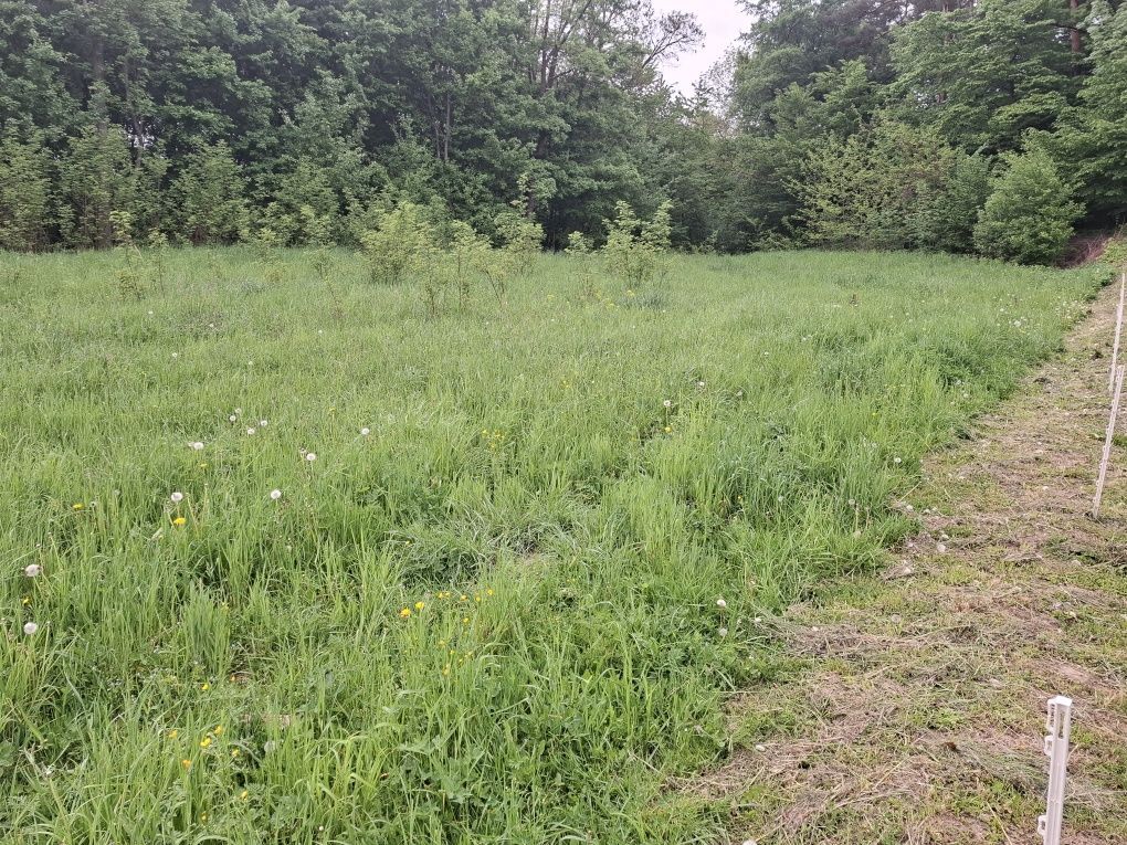 Działka budowlana Kuńkowce. Zdjęcie 5