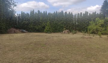 Działka inwestycyjna Poznań Szczepankowo, ul. Bruzdowa