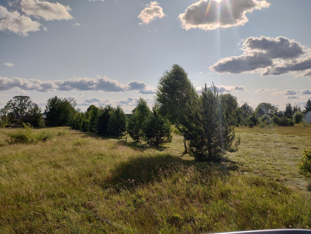 Działka rolno-budowlana Strachówka, ul. Nowa. Zdjęcie 5