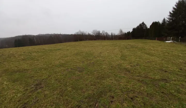 Działka rolno-budowlana Reczpol Przedchołowice