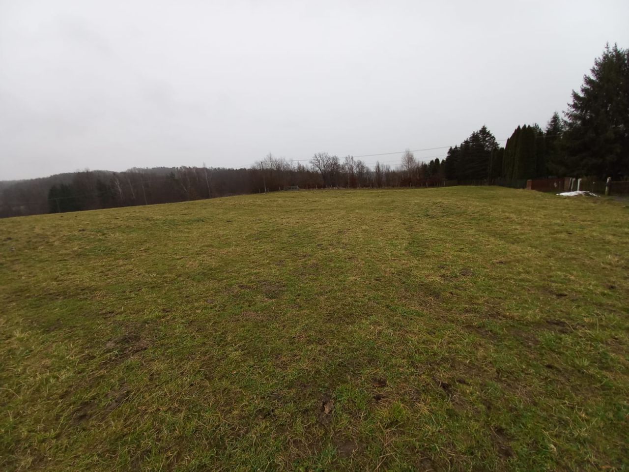 Działka rolno-budowlana Reczpol Przedchołowice