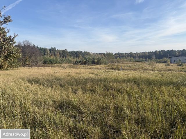 Działka budowlana Silno. Zdjęcie 1