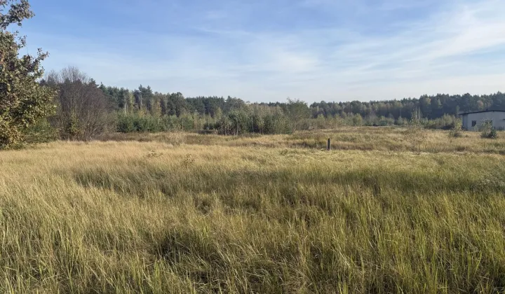 Działka budowlana Silno