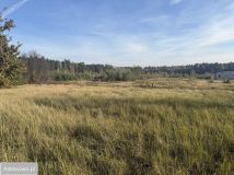 Działka budowlana Silno