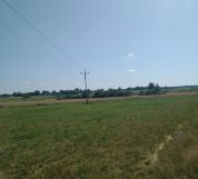 Działka rolna Turno. Zdjęcie 4