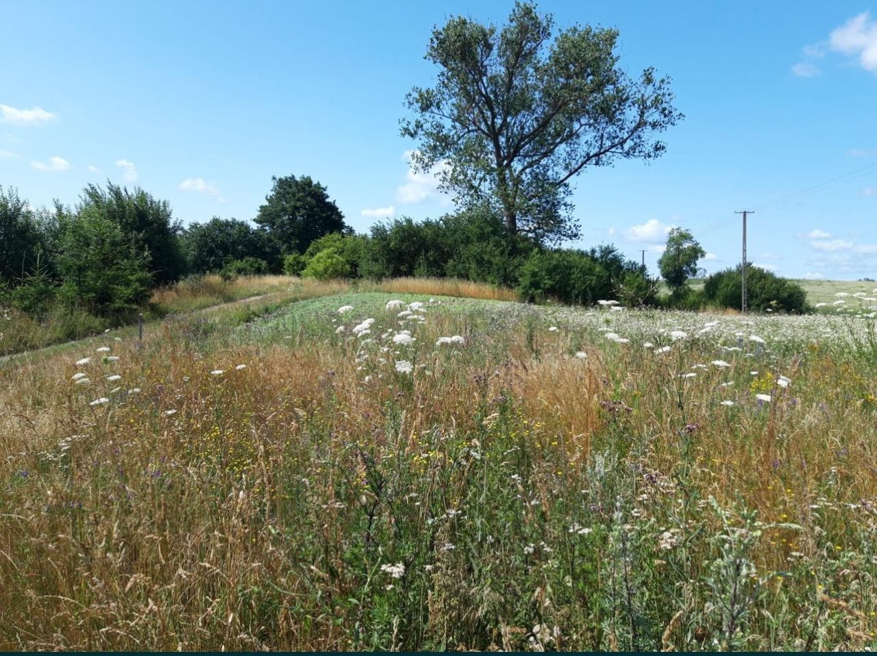 Działka budowlana Czarne Małe. Zdjęcie 4