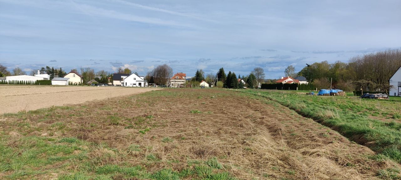 Działka rolno-budowlana Fałkowice. Zdjęcie 2