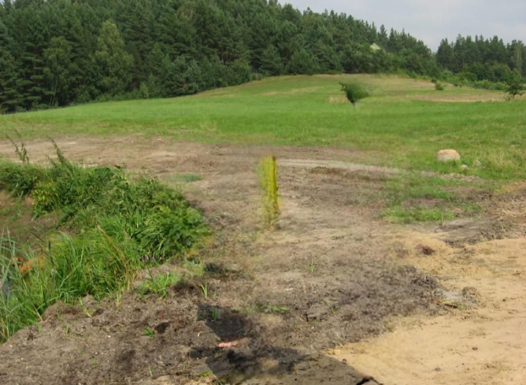 Działka rolno-budowlana Brąswałd. Zdjęcie 2