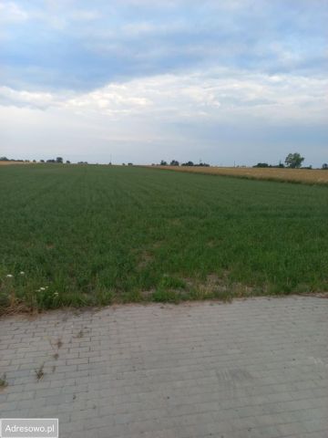 Działka budowlana Czyżew, ul. Złote Jabłko. Zdjęcie 1