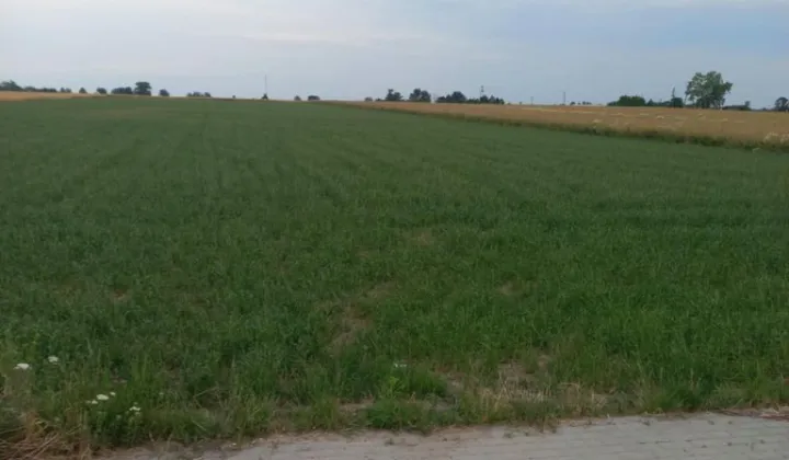 Działka budowlana Czyżew, ul. Złote Jabłko