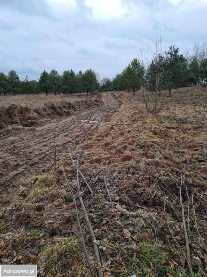 Działka rolna Roje. Zdjęcie 3