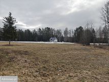 Działka rolno-budowlana Borki Rozowskie. Zdjęcie 3