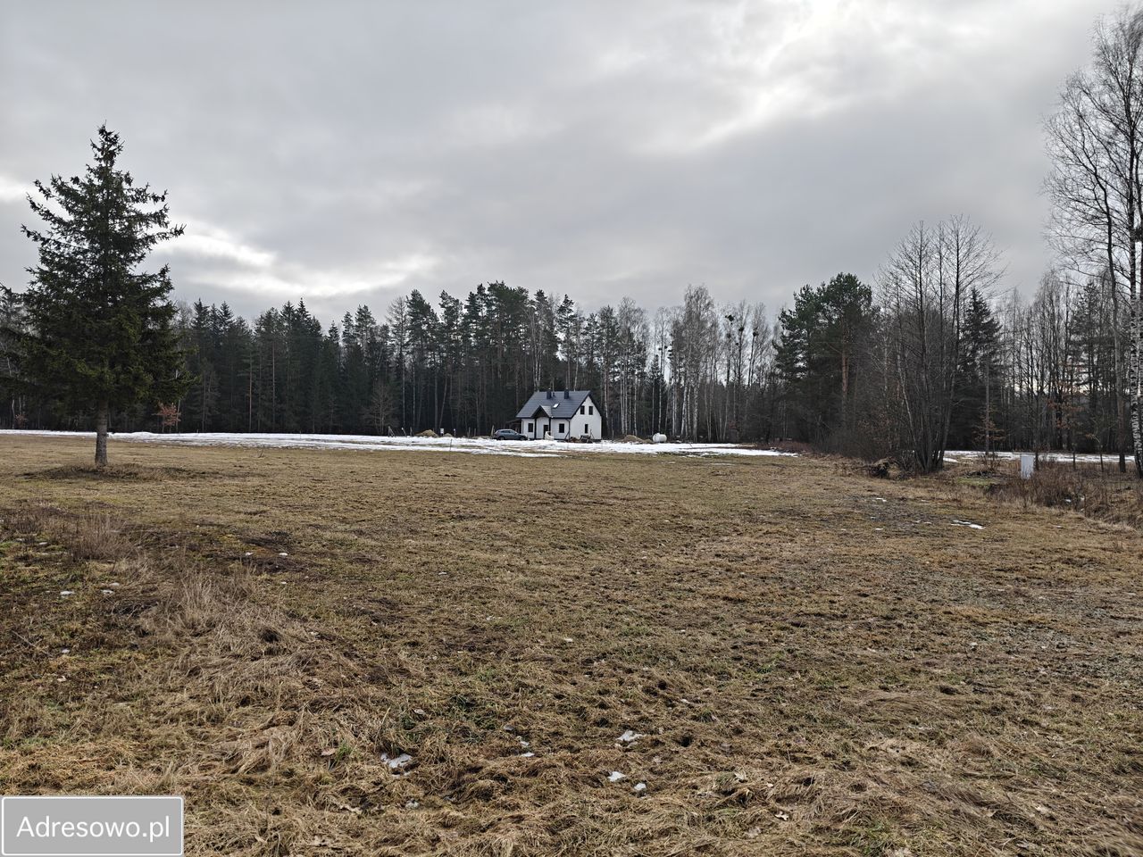 Działka rolno-budowlana Borki Rozowskie. Zdjęcie 4