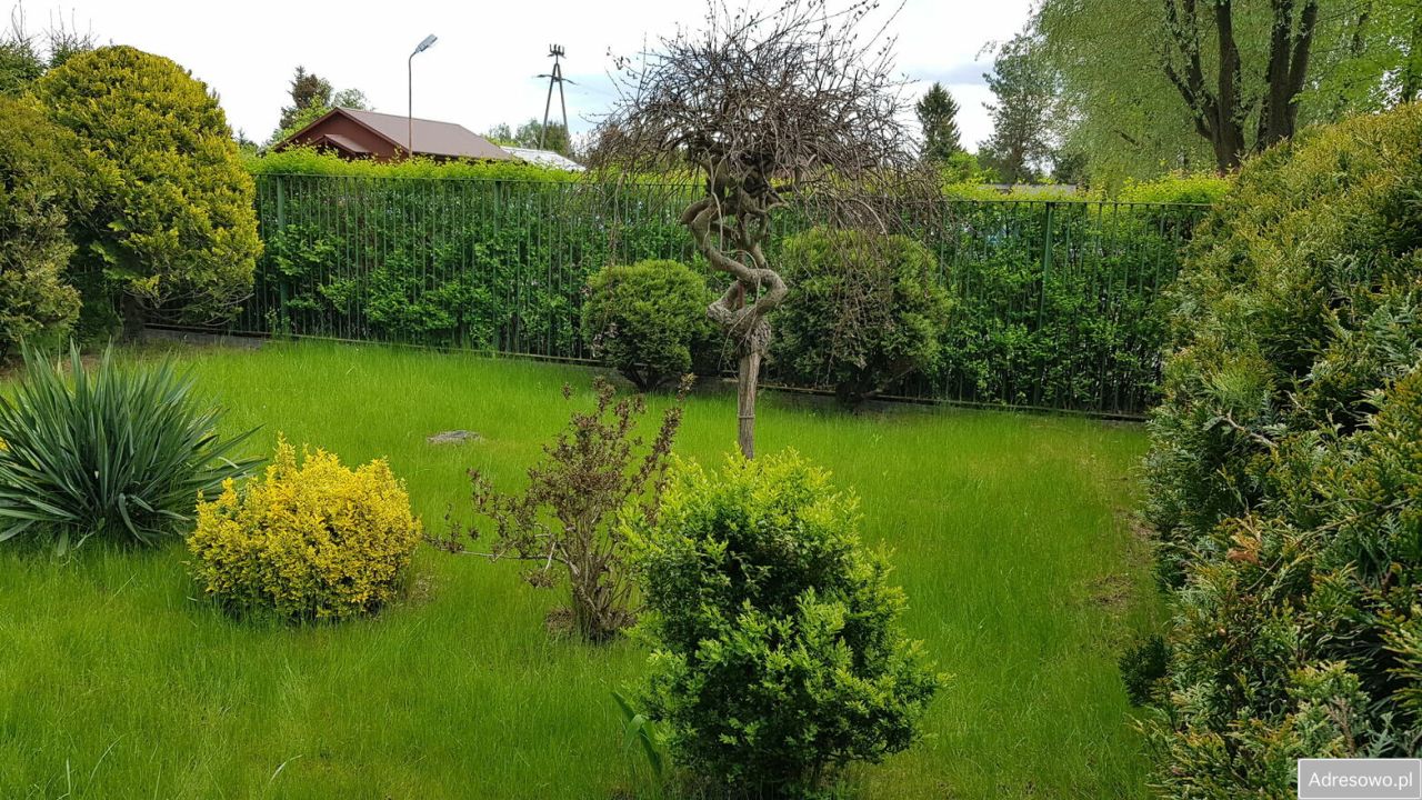 Działka rod Nadarzyn, ul. Żółwińska. Zdjęcie 8