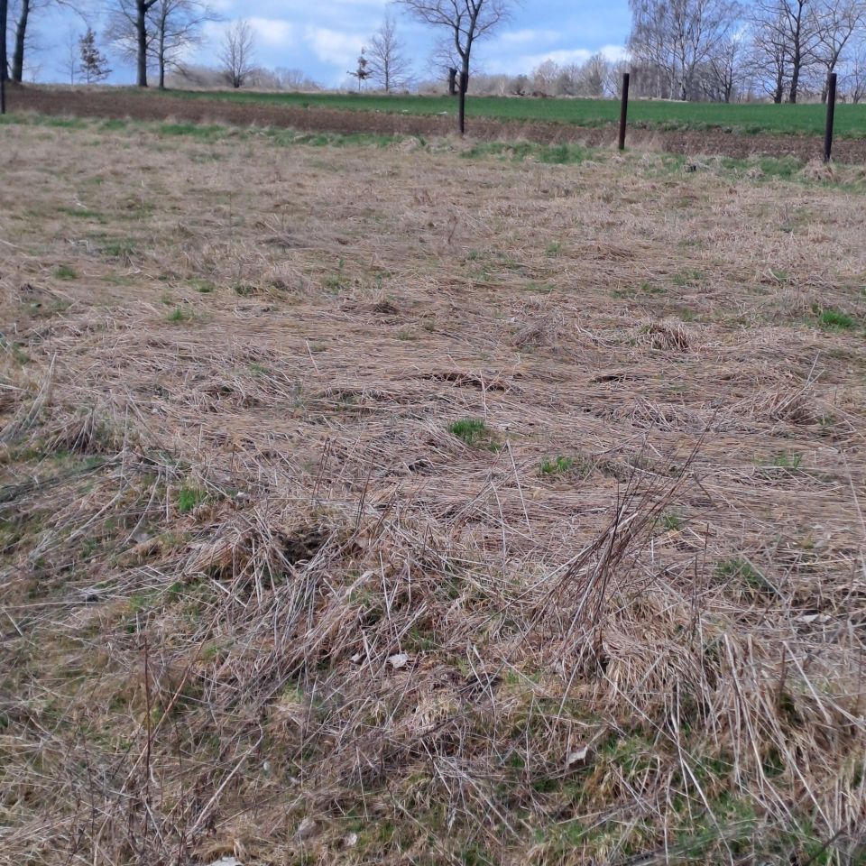 Działka budowlana Mała Wieś Dolna. Zdjęcie 10