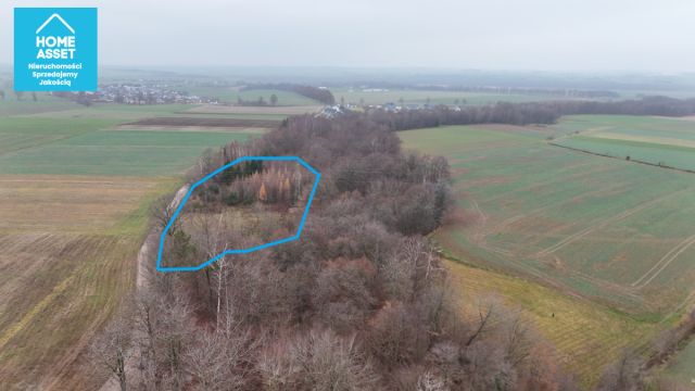 Działka budowlana Werblinia, ul. Leśna. Zdjęcie 10