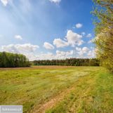 Działka budowlana Ossa. Zdjęcie 4