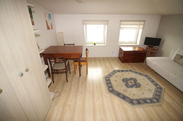 Mieszkanie 2-pokojowe Poznań Grunwald, ul. Adama Logi. Zdjęcie 4