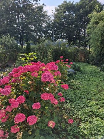 Mieszkanie 3-pokojowe Gdańsk Zaspa, ul. Żwirki i Wigury. Zdjęcie 1