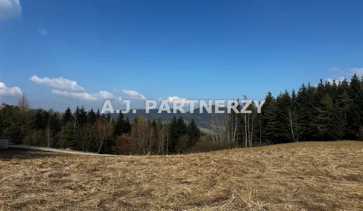 Działka rolna Berest
