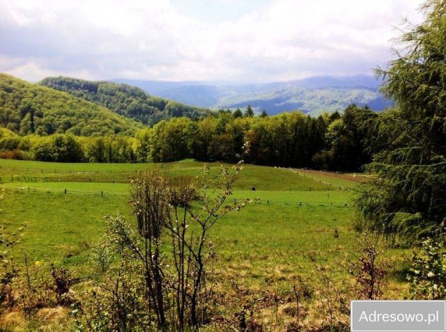Działka rolna Sucha Struga. Zdjęcie 1