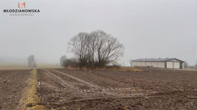 Działka rolna Bajki-Zalesie. Zdjęcie 1