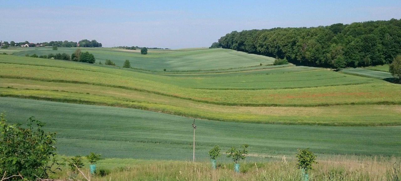 Działka budowlana Antoniówka. Zdjęcie 2