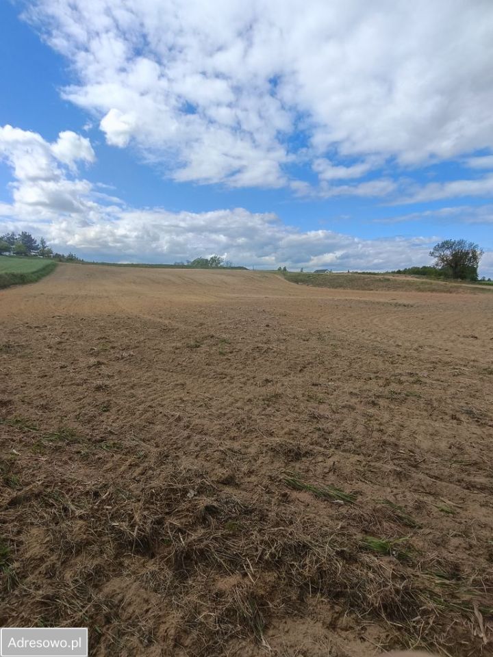 Działka rekreacyjna Miłachówek. Zdjęcie 3