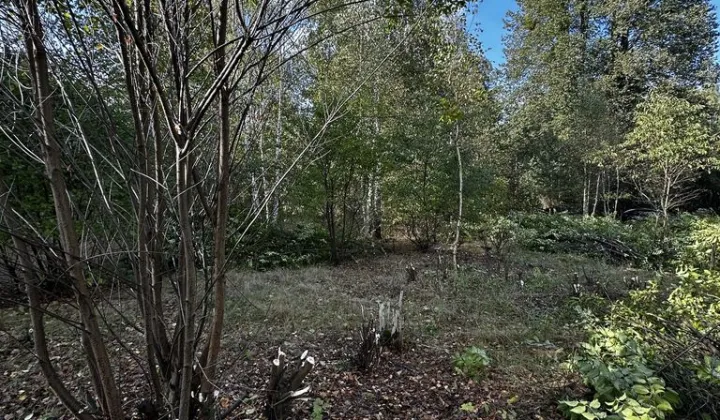 Działka rolno-budowlana Kalonka