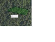 Działka leśna Bielcza. Zdjęcie 3