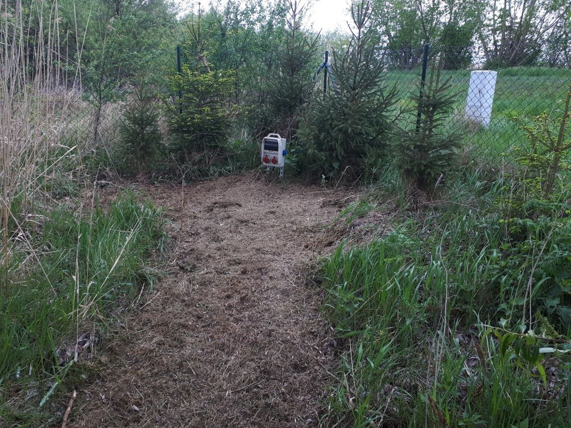 Działka rolna Warnołęka. Zdjęcie 5