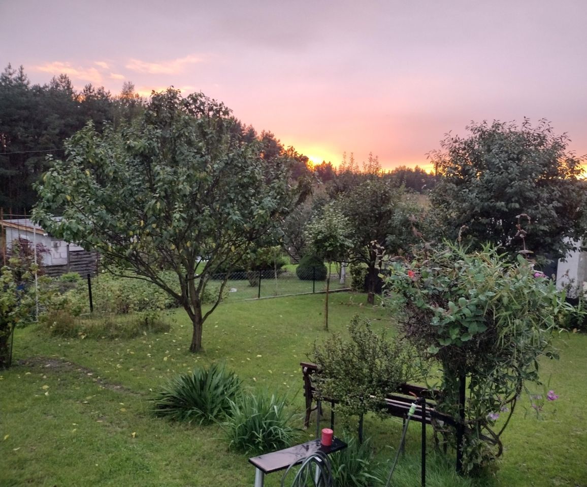 Działka rod Aleksandrów Kujawski Centrum, ul. Gabriela Narutowicza. Zdjęcie 9