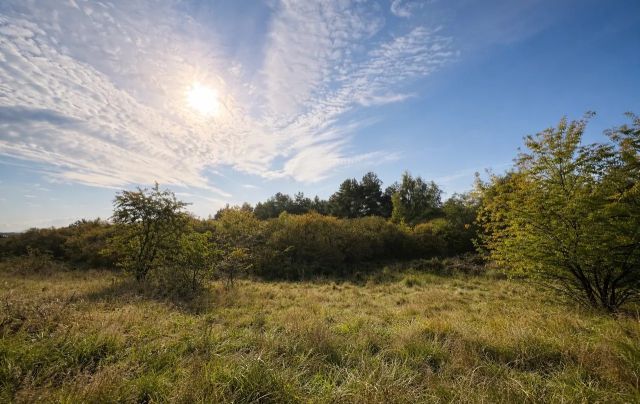 Działka budowlana Łochowice, ul. Łąkowa. Zdjęcie 1