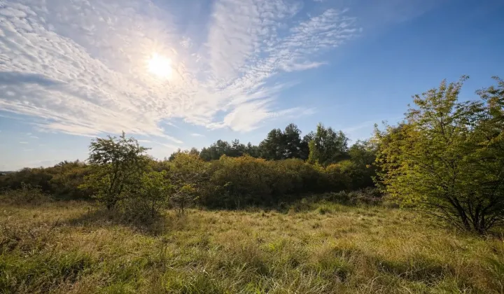 Działka budowlana Łochowice, ul. Łąkowa
