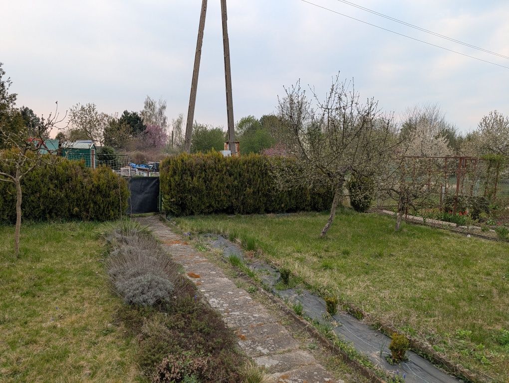 Działka rod Opole Żerkowice. Zdjęcie 1