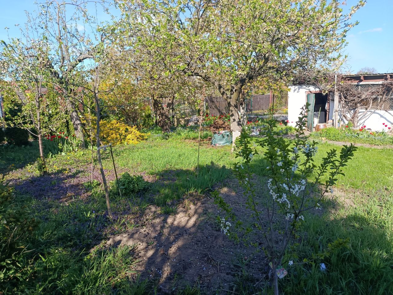 Działka rod Świdnica, ul. Jodłowa. Zdjęcie 7