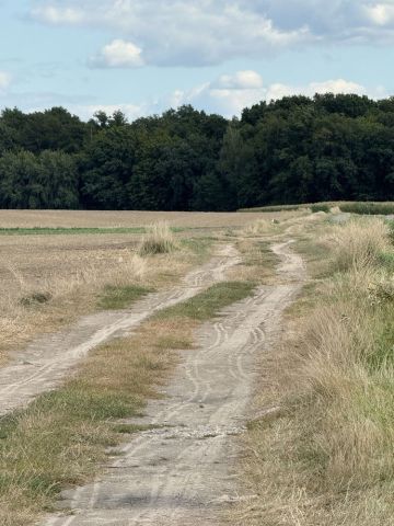 Działka budowlana Niemil. Zdjęcie 1