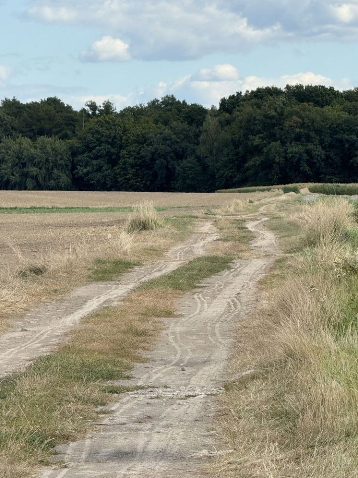 Działka budowlana Niemil. Zdjęcie 1
