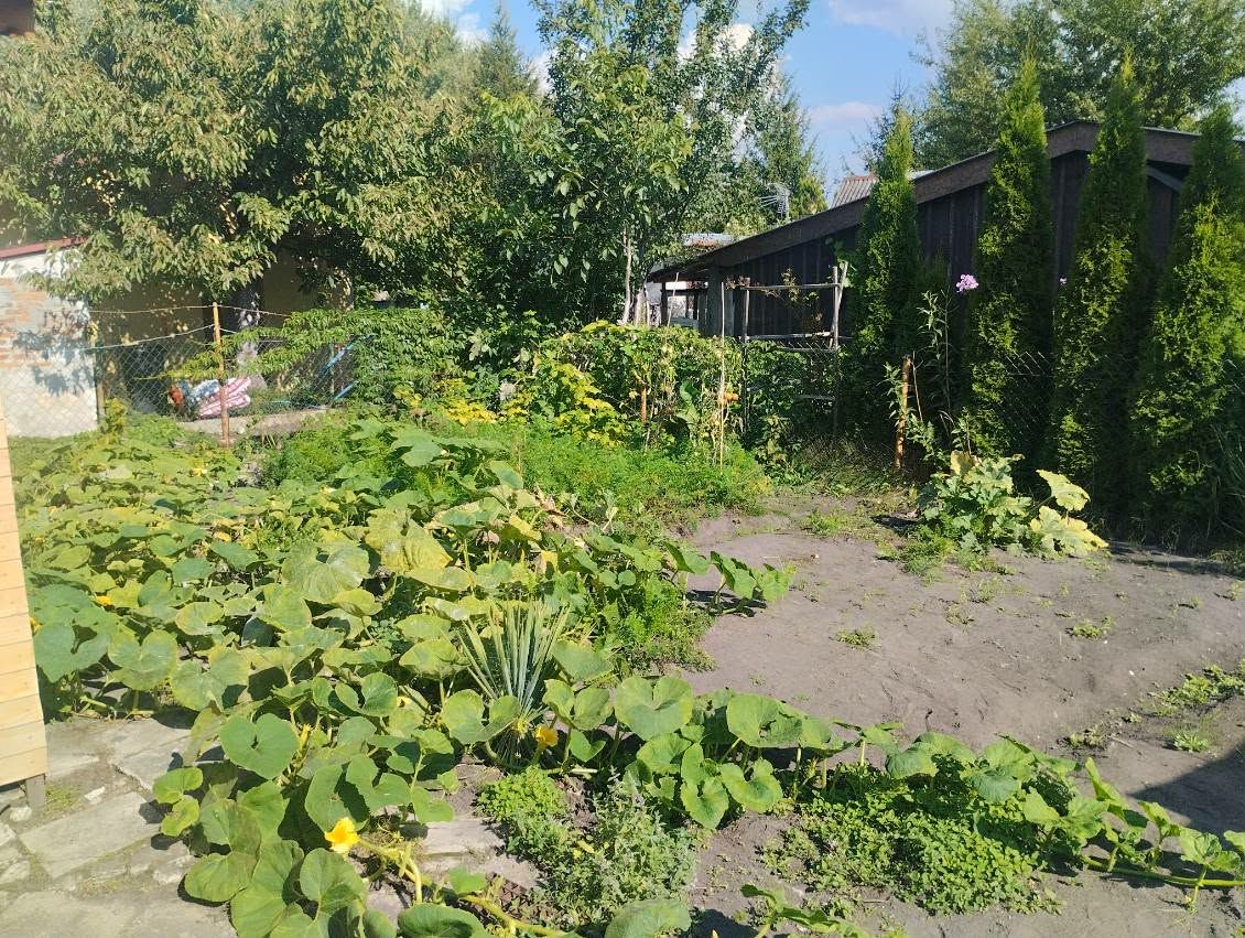 Działka rod Łuków, ul. Stodolna. Zdjęcie 5