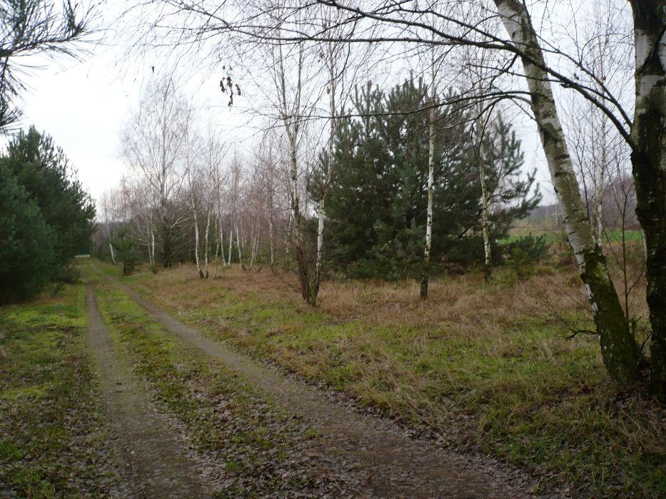 Działka rekreacyjna Łask. Zdjęcie 5