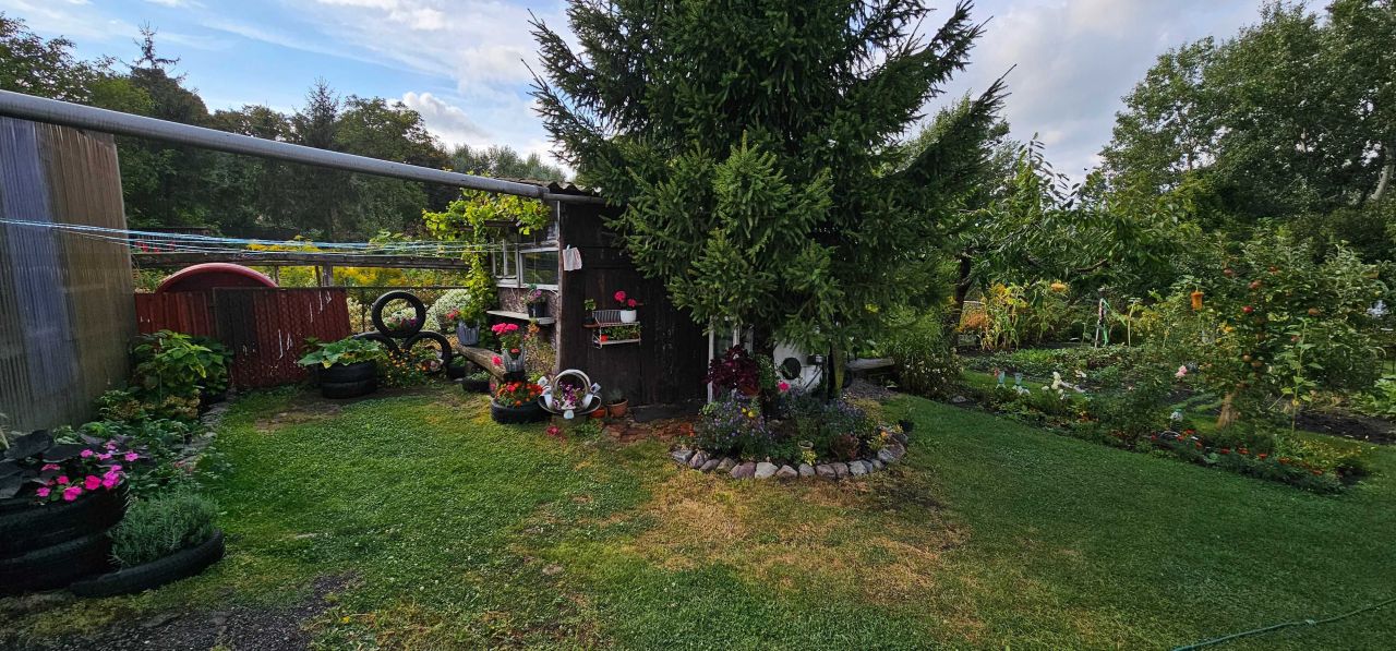 kamienica Kcynia. Zdjęcie 5