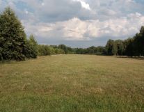 Działka rolna Jakubiki, Safiejókwka