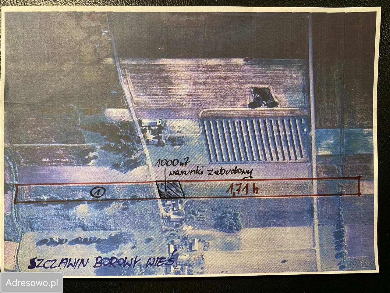 Działka rolna Gołas. Zdjęcie 5