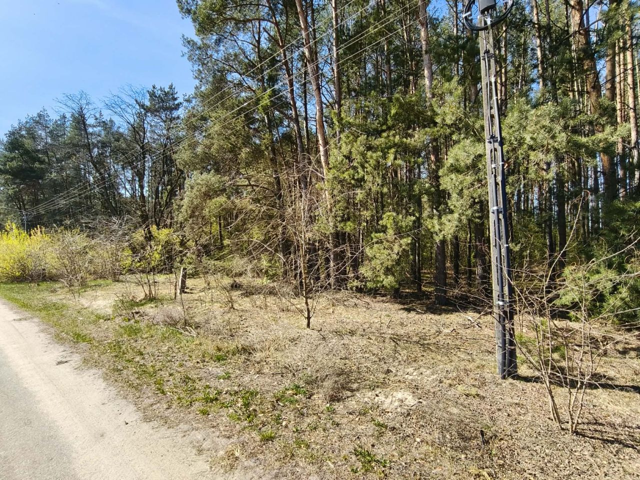 Działka siedliskowa Jelenie. Zdjęcie 4
