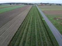 Działka inwestycyjna Kolonia Domaszewnica. Zdjęcie 4