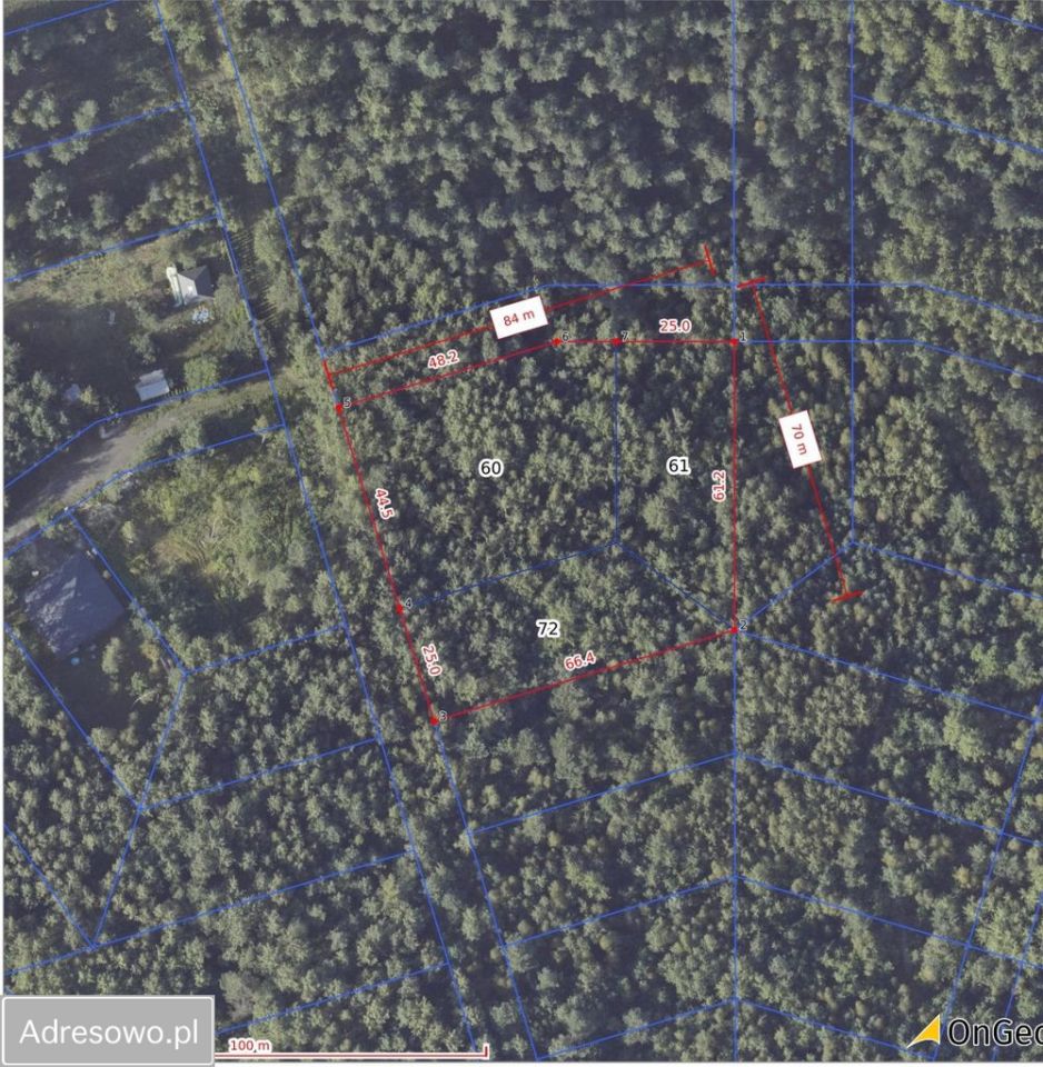 Działka leśna Ostrowiec Świętokrzyski, ul. Las Rzeczki. Zdjęcie 6