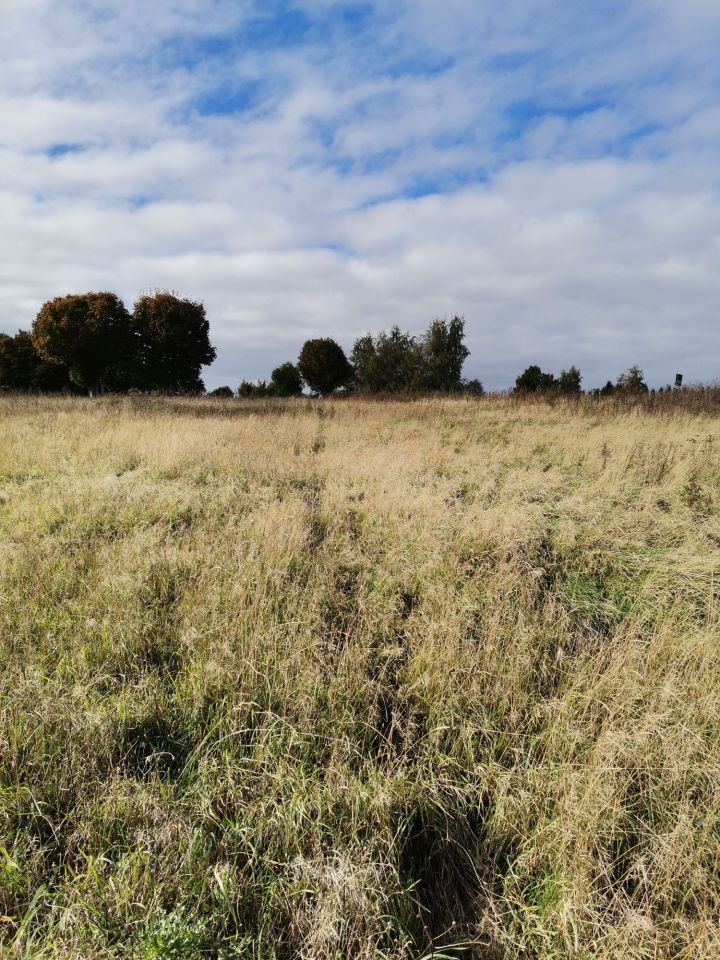 Działka budowlana Kukinia. Zdjęcie 7
